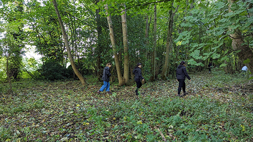 Three students walking away in to the forest