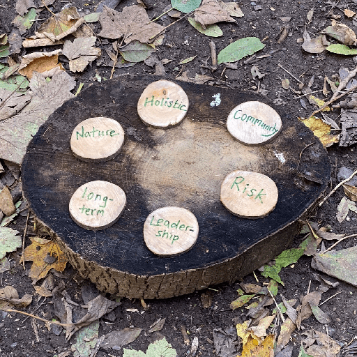 Wooden discs arranged on a stump, each with a different forest school principle written in pen.